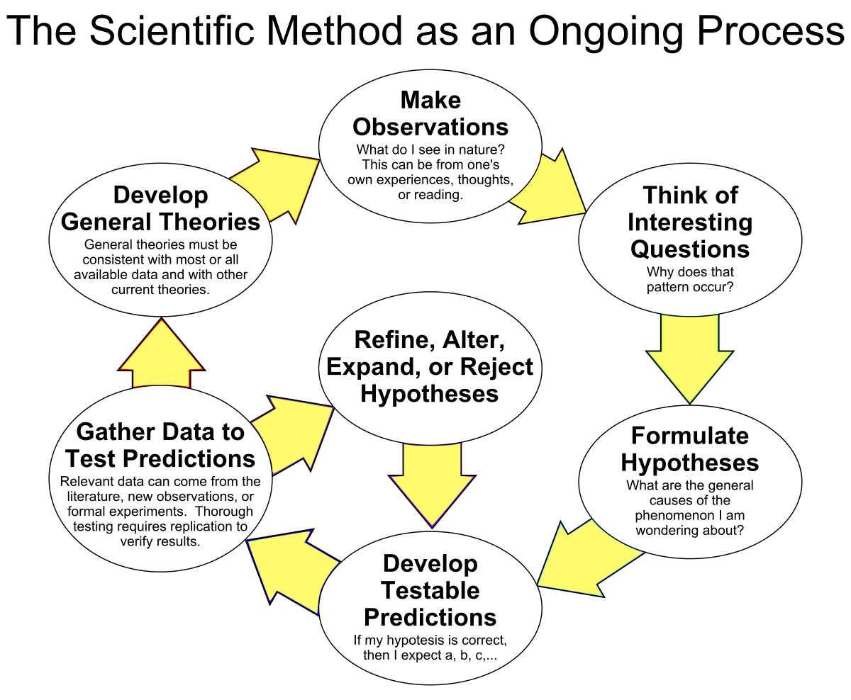 what is theory in research method