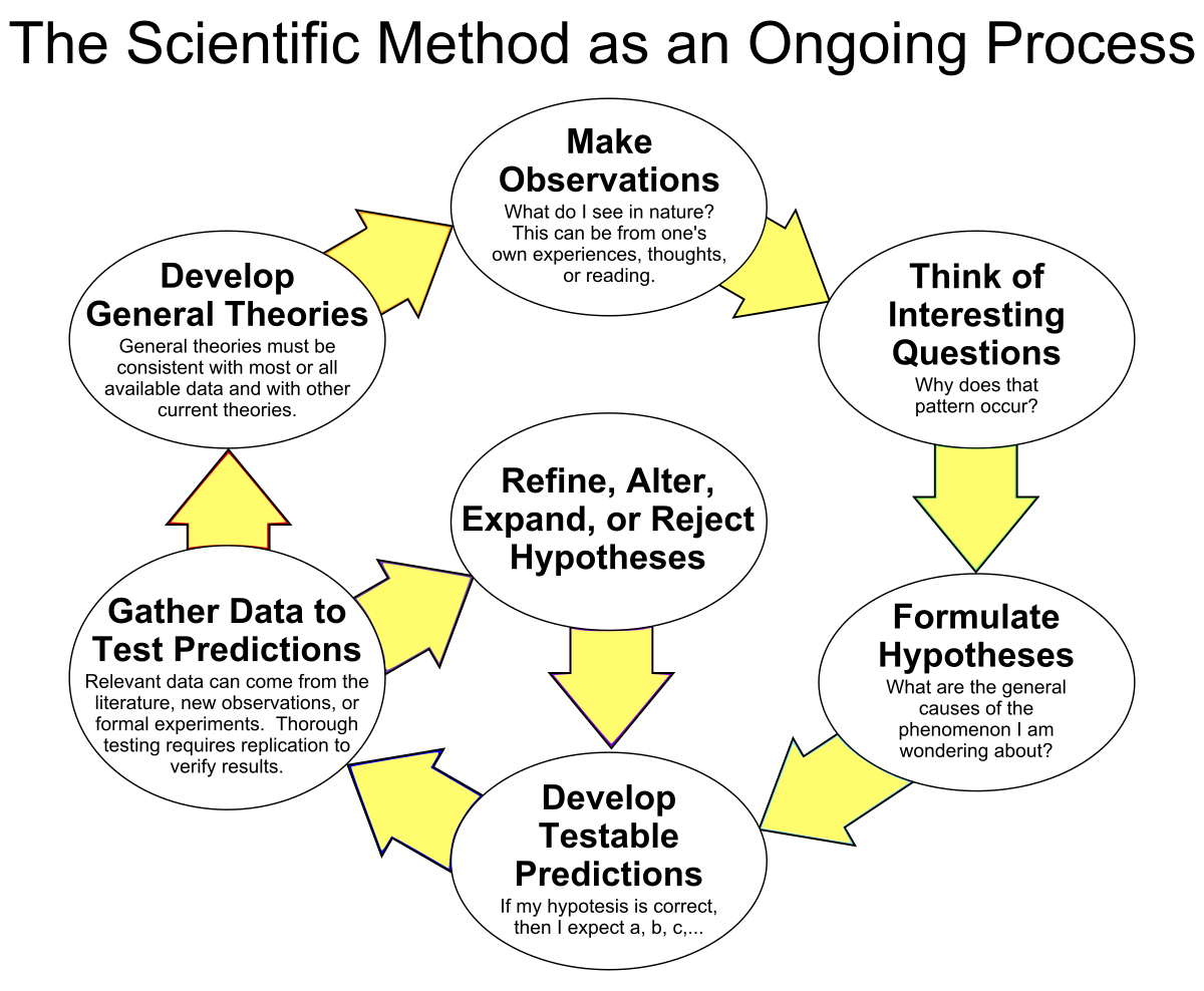 What Are The Steps To The Scientific Method In Psychology